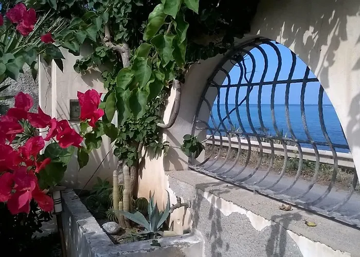 度假居 Domus Austri